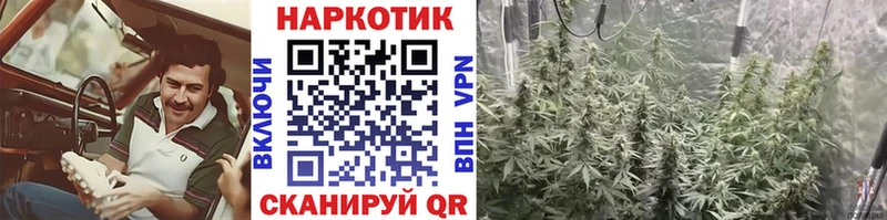 Где купить наркотики Курлово ГАШИШ МЕТАМФЕТАМИН МЕФ АМФ КОКАИН Альфа ПВП