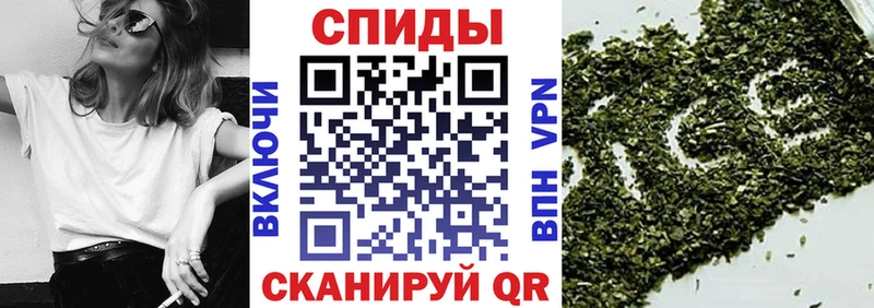 Бутират буратино Курлово