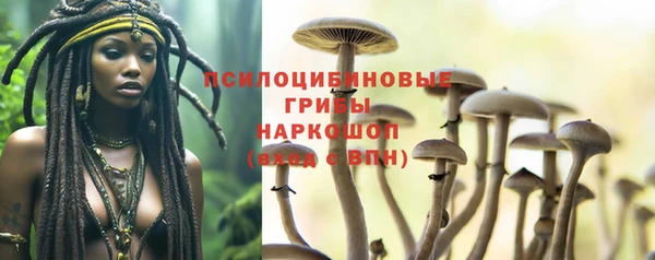 крисы Абаза