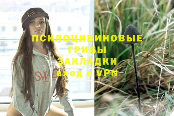a pvp Абинск