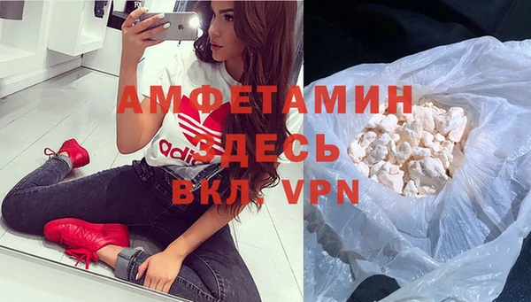 крисы Абаза