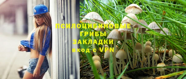 a pvp Абинск