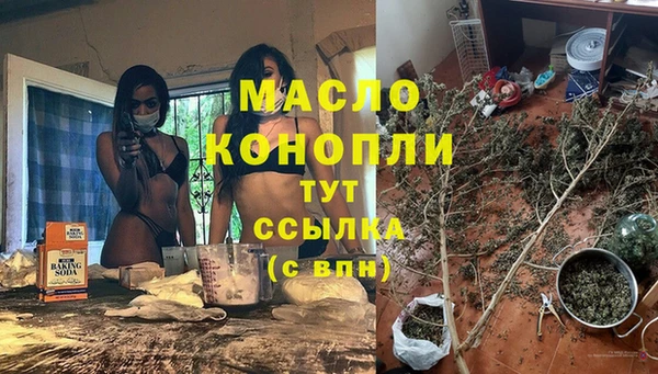 крисы Абаза