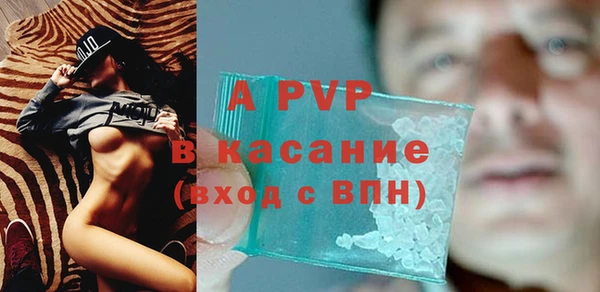 крисы Абаза