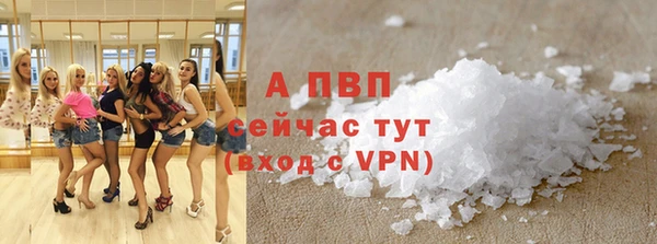 крисы Абаза