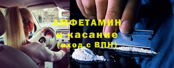 крисы Абаза
