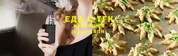 крисы Абаза