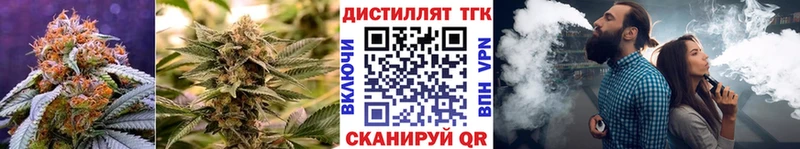 хочу   Курлово  Дистиллят ТГК концентрат 